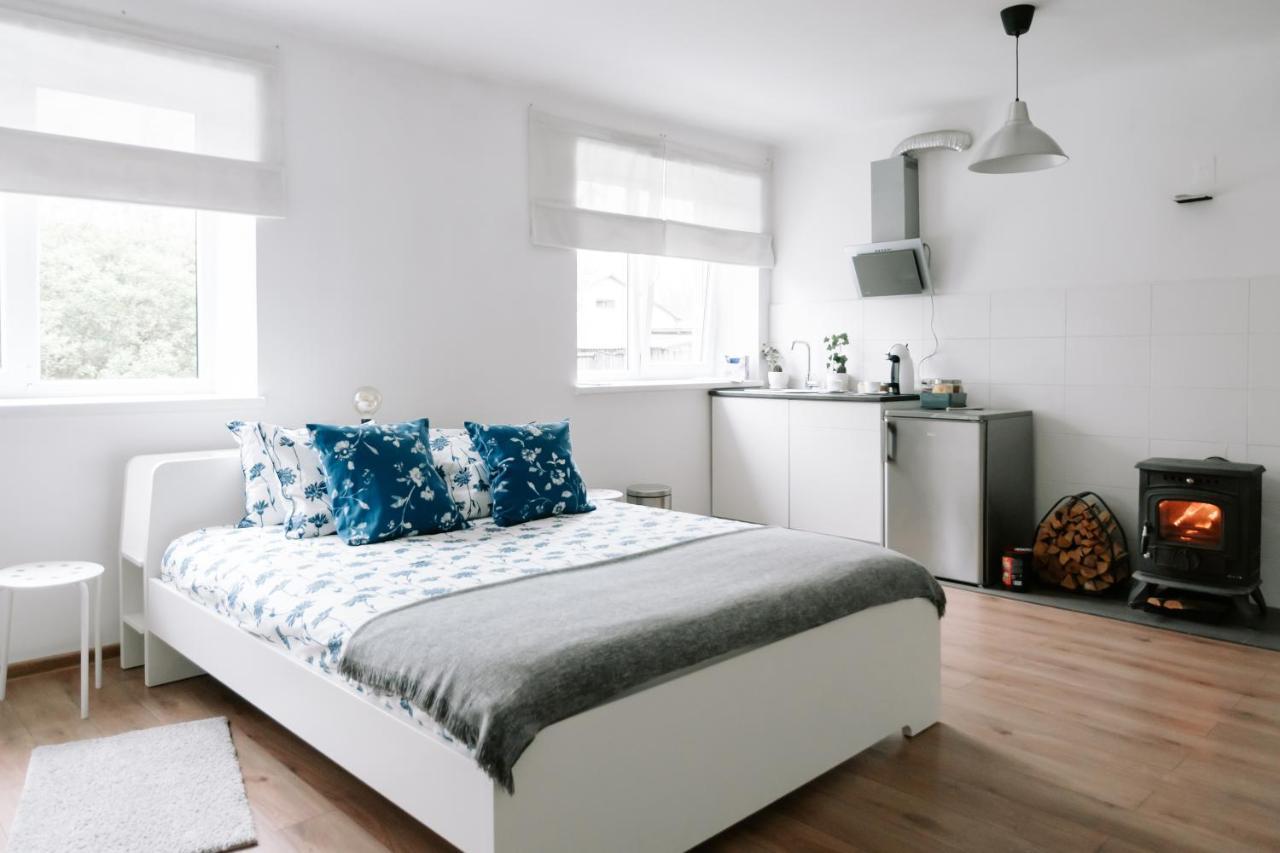 Lake Aluksne Studio Apartment מראה חיצוני תמונה