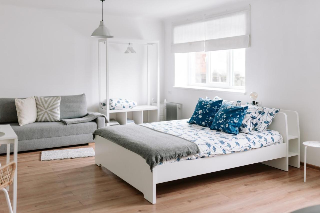 Lake Aluksne Studio Apartment מראה חיצוני תמונה