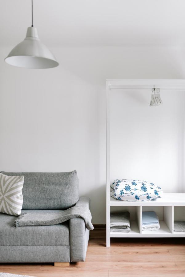 Lake Aluksne Studio Apartment מראה חיצוני תמונה