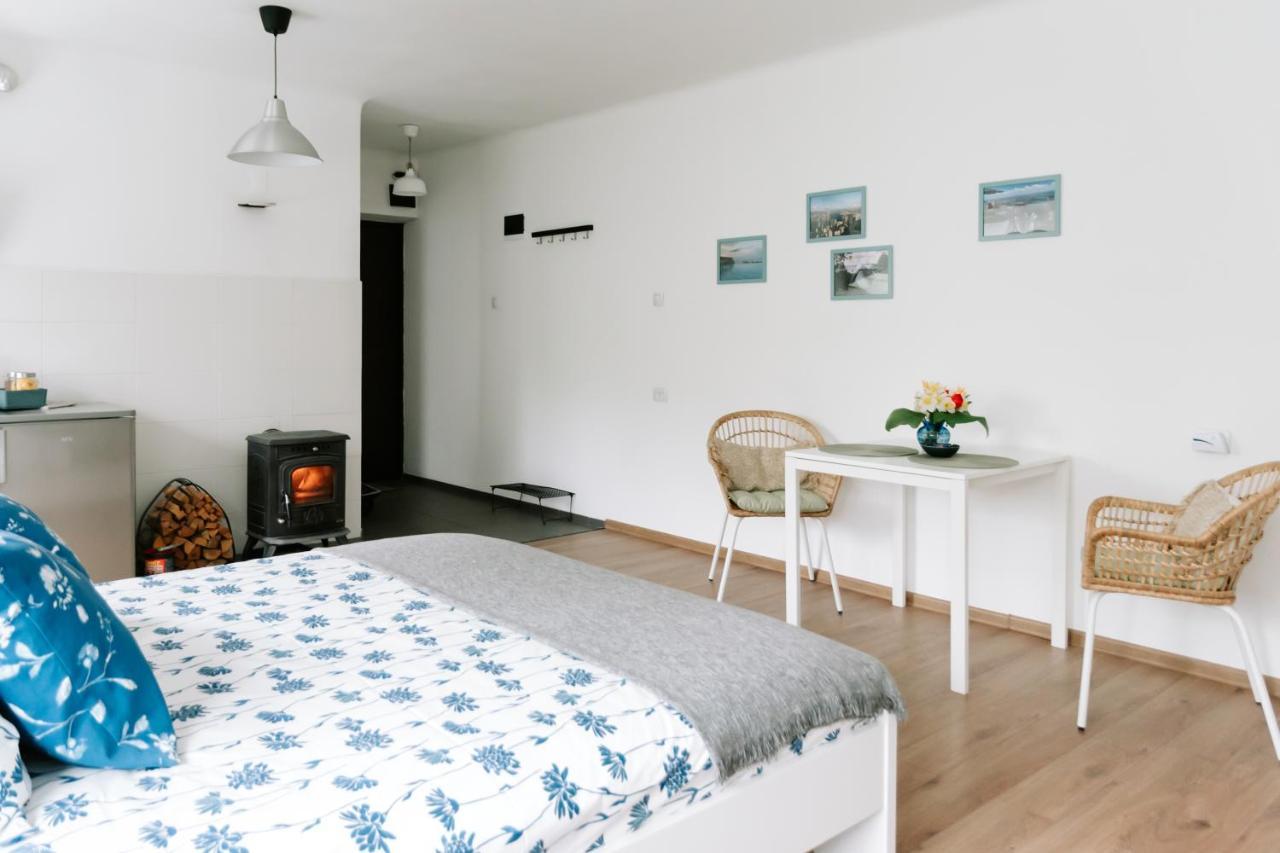 Lake Aluksne Studio Apartment מראה חיצוני תמונה